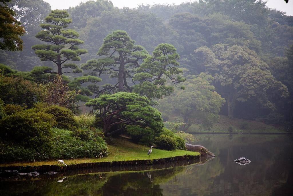 Tora Hotel Tokyo-Rikugienn 寅ホテル 六義園 C Exterior foto